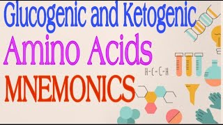 Glucogenic and Ketogenic Amino Acids MNEMONICS  Lecture 3 [upl. by Anolahs]