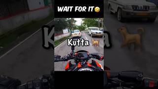 Dog attacked on Kawasaki z900 kutte ne kat liya doglover z900 z10r motovlog superbike shorts [upl. by Strep866]