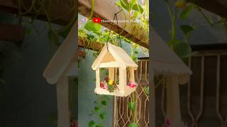 Wooden popsicle bird feeder  DIY icecream stick crafts  Bird houseHome Decoration Master [upl. by Reklaw631]