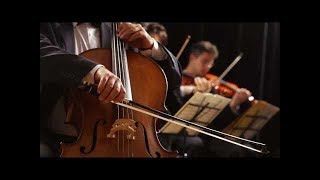 String Quartet  Classical Violin Cello and Viola Music 10 Hours Best Relaxing Music [upl. by Ronacin]