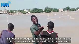 The flood in Maiduguri in Borno state North East Nigeria caused by the overflow of the Lau dam [upl. by Roche282]