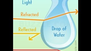 Difference Between Reflection Refraction and Diffraction With Diagrams [upl. by Arlyne]