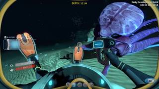 Subnautica  Warper warped me [upl. by Yunick]