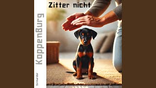 Zitter nicht [upl. by Zetnauq]