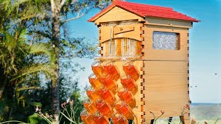 Flow Hive 2 now in Araucaria Coming 22112018 [upl. by Annayram646]