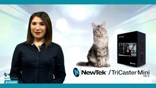 Newtek Tricaster Mini HD4 Genel Tanıtım Filmi [upl. by Margi]