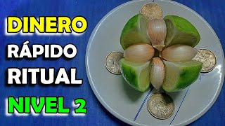 DINERO RÁPIDO Abundancia y Prosperidad con Limones Monedas y Ajos Amarre para la Riqueza Ritual [upl. by Ostraw]