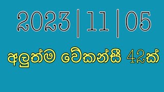 job vacancy 2023 job vacancies Job guide sri lanka job interview jobs at homegoverment jobs [upl. by Winfred]