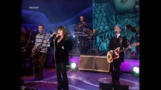 Ronettes Ronnie Spector  Dont Worry Baby Beach Boyslive 1998 HD 0815007 [upl. by Atilol]