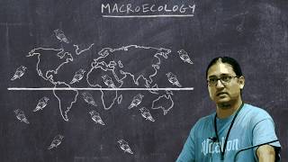 Basic Ornithology Macroecology [upl. by Aubry]