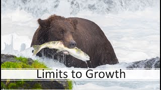 Limits to Growth [upl. by Nylyaj867]