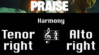 Praise  Harmony Tutorial [upl. by Gnof]