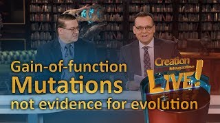 Gain of function mutations not evidence for evolution [upl. by Ayekin626]