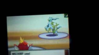 lv1 Magikarp beats lv100 Arceus [upl. by Mathis552]