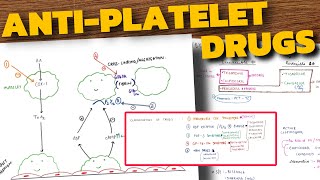 AntiPlatelet Drugs Pharmacology  COX Inhibitors  P2Y12 Receptor Blockers  Aspirin  Clopidogrel [upl. by Shaefer46]