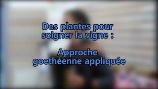 JeanMichel Florin  Des plantes pour soigner la vigne  approche goethéenne appliquée [upl. by Htebharas]