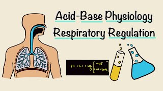 Acid Base Physiology  Part Two  Respiratory Regulation  Respiratory Physiology [upl. by Gisela]