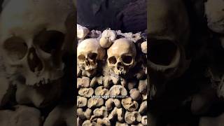 paris catacombs facts scary scarystories [upl. by Ambrosane]