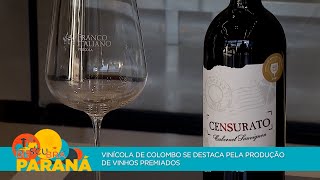 Vinícola de Colombo se destaca pela produção de vinhos premiados [upl. by Winther]