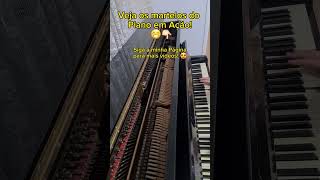 Veja como os Martelos do Piano Funcionam [upl. by Refiffej]