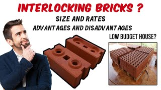 Interlocking bricks for house construction  Low budget house [upl. by Luckett914]