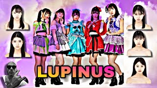 LUPINUS  ルピナス  live Tokyo little Idol 😱 [upl. by Isacco]