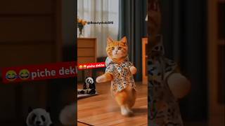 Tu cheez badhi hain 🧿👉cat funny dance 😂shorts trending shortreels bollywood hindisong [upl. by Berthold]