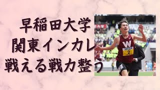 【早稲田大学】関東インカレの結果から駅伝シーズンを考察！出雲駅伝全日本大学駅伝箱根駅伝の主役になれるか！？ 早稲田大学 箱根駅伝 山口智規 [upl. by Ilrac411]