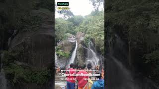 இயற்கையின் அழகும் ஐந்தருவியும்🍃💚 Five Falls  Courtallam  Tiger Falls  Sabarimala  kutrallam [upl. by Mirabella]