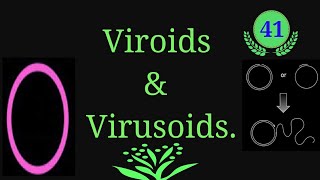 Viroids amp Virusoids microbiology microbes virus viruses viral infection EnteMicrobialWorld [upl. by Hardman]