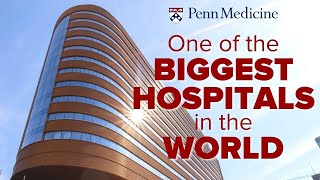 One of the Biggest Hospitals in the World Did You Know [upl. by Anavoig]