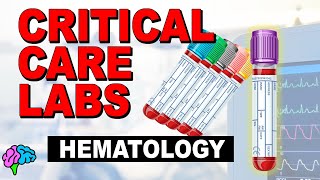 Hematology  Complete Blood Count CBC  Critical Care Labs [upl. by Shayla]