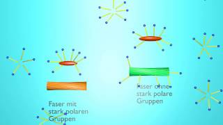 Wie Tenside in Waschmitteln funktionieren quotAnimationquot [upl. by Ottinger]