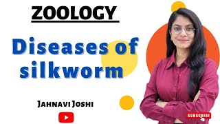 Diseases of silkworm Notes Bsc 2nd year Economic Zoology [upl. by Goldfinch]