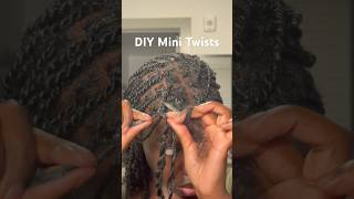 DIY mini twists with hair added [upl. by Gwenni663]