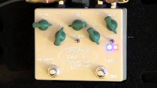 Cusack Music TapAFuzz Review  BestGuitarEffectscom [upl. by Eislrahc969]