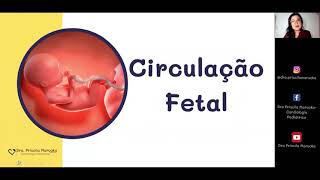 Circulação Fetal [upl. by Bowden444]