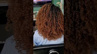 YANKY TWIST BRAID PATTERN MAKES ALL THE DIFFERENCE yankytwist crochetbraids versatilebraidpattern [upl. by Melicent370]