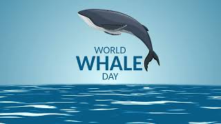 Our Planet  Humpback Whales  Clip  World Whale Day [upl. by Horatio336]