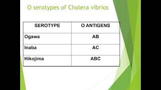 Vibrio Cholerae [upl. by Soirtimid]