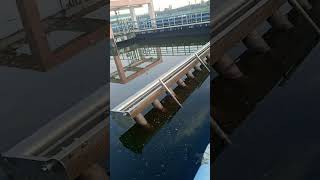 sewage treatment plant Mastilong videosubscriber [upl. by Lemra774]