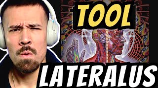 TOOL  LATERALUS REACTION  Fibonacci sequence [upl. by Seften]