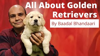 All About Golden Retriever  Pros amp Cons Of Family Dog Breed  Benefits Of Puppy  Baadal Bhandaari [upl. by Aitnohs]