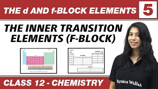 The d amp f block Elements 05  The Inner Transition Elements F Block  Class 12 NCERT [upl. by Lederer]