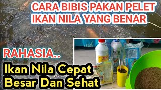 CARA BIBIS PELET IKAN NILA DENGAN BENAR BIAR IKAN NILA CEPAT BESAR DAN SEHAT [upl. by Anolla]