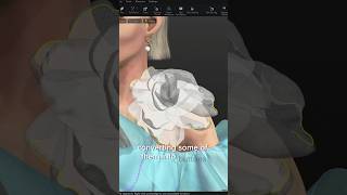 Workflow 🦋 Process of creating 🦋Digital Dress digitalfashion clothesdesign fashiondesigner 3d [upl. by Elspet705]