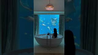 Dubai’s Most Luxurious Bathtub with a View The Palm’s Underwater Suite dubai atlantis [upl. by Essined250]