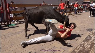 Utebo Zaragoza  Suelta de reses  Avda Zaragoza  1516 y 18062024  HD [upl. by Esenahs]