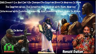 DNA Doesn’t Lie And Can’t Be Changed The Egyptian Blood In Negroes Is From The Egyptian Wives [upl. by Refinney]