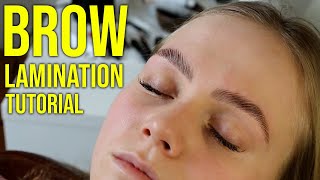 HD Brow Lamination Step By Step Tutorial Big Brows [upl. by Koss79]